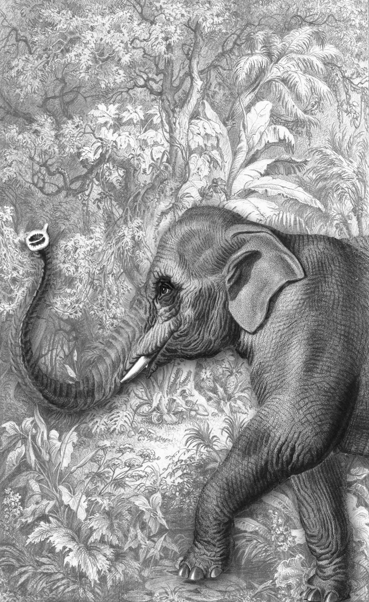 Passeggiando con gli amici 05