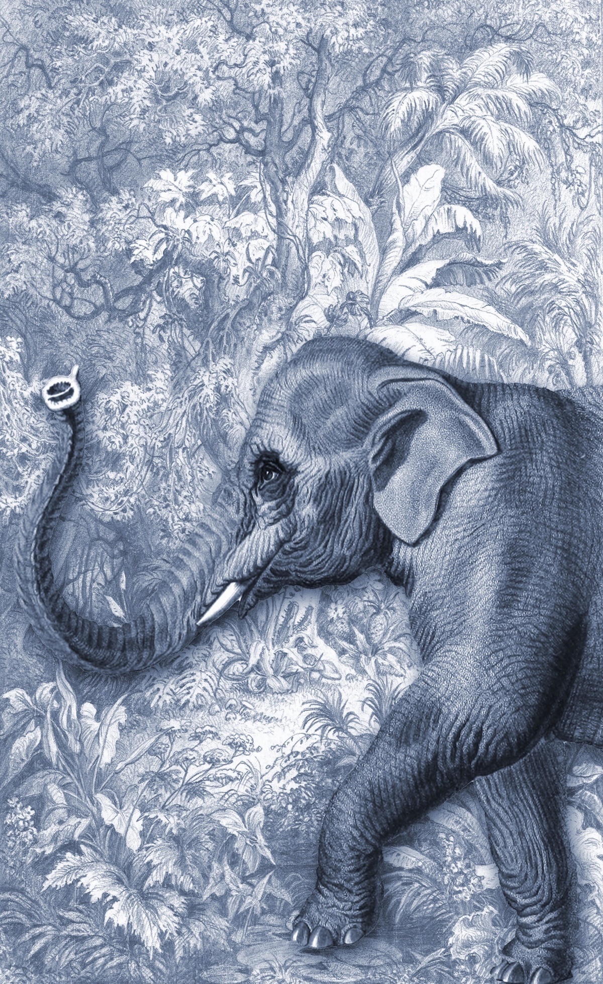 Passeggiando con gli amici 07