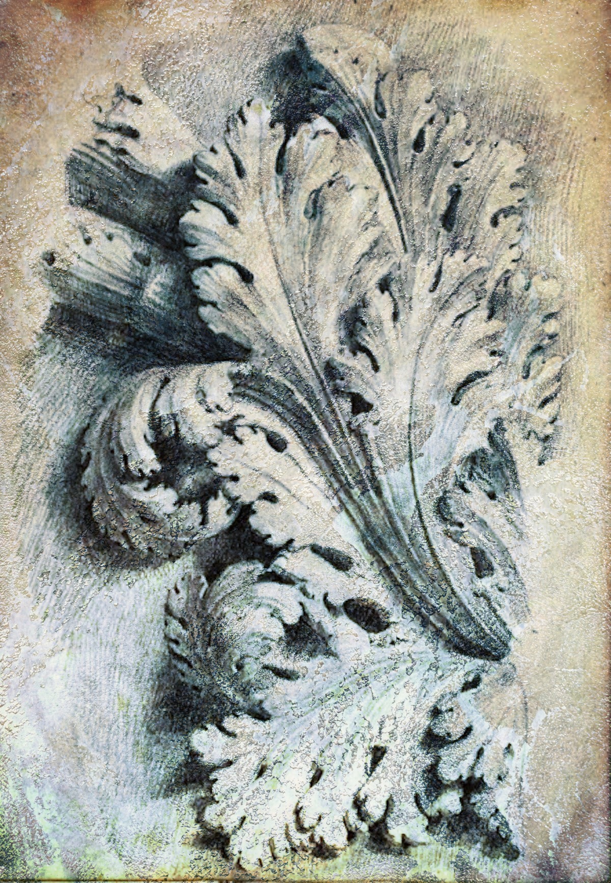 Foglia d acanto acn1803 1200