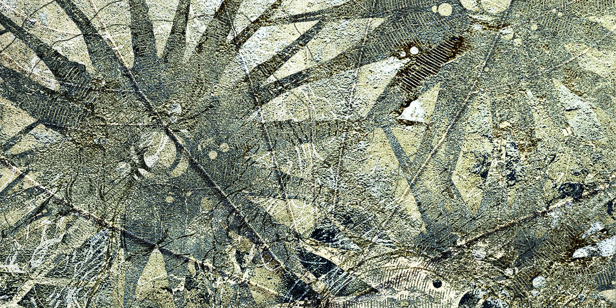 Le vene della vita lvn1901